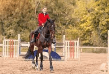 What Are The Different Disciplines In Equestrian Sports?