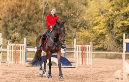 What Are The Different Disciplines In Equestrian Sports?
