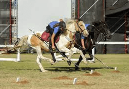 What Are Some Etiquettes And Traditions Associated With Tent Pegging Events?