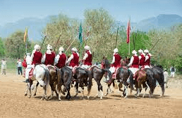 What Are The Different Skill Levels Or Divisions In Tent Pegging Competitions Based On Rider Experience And Expertise?