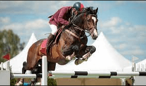What Are Some Key Differences Between Polo And Other Equestrian Sports, Such As Horse Racing Or Show Jumping?