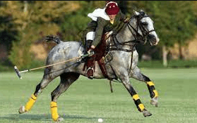 What Are Some Strategies And Tactics Commonly Used By Polo Players To Gain An Advantage?