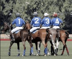 What Are The Different Positions In A Polo Team, And What Are Their Roles During The Game?