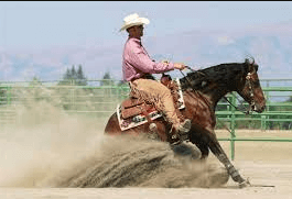 What Are Some Safety Considerations For Both The Rider And The Horse In Western Pleasure Sports?