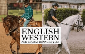 What Are The Key Differences Between Western Pleasure And English Pleasure Riding?