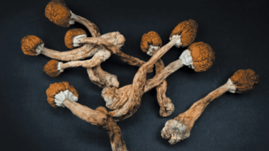 Challenges in Detecting Shrooms Compared to Other Drugs