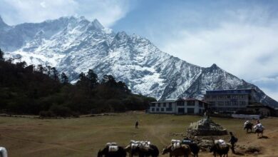Solo Trekking to Everest Base Camp: Adventures and Challenges of Going Alone