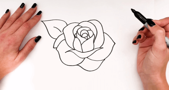 Drawing:Rso7fhbkxvy= Outline:5lvuzffno7u= Rose