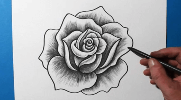 Drawing:Rso7fhbkxvy= Outline:5lvuzffno7u= Rose