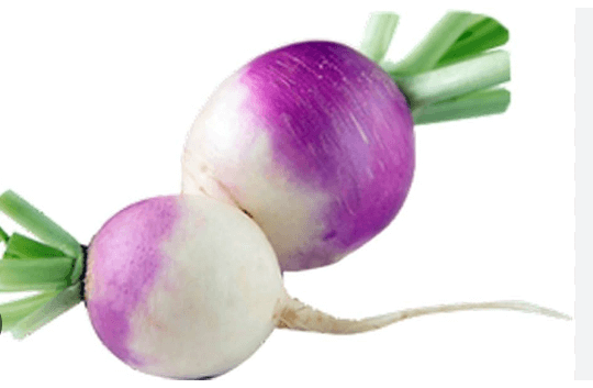 Clipart:0not_4qntmq= Turnip